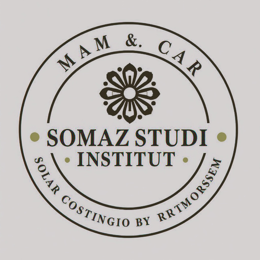 Somazstudi